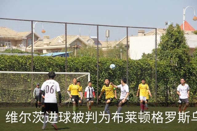 维尔茨进球被判为布莱顿格罗斯乌龙
